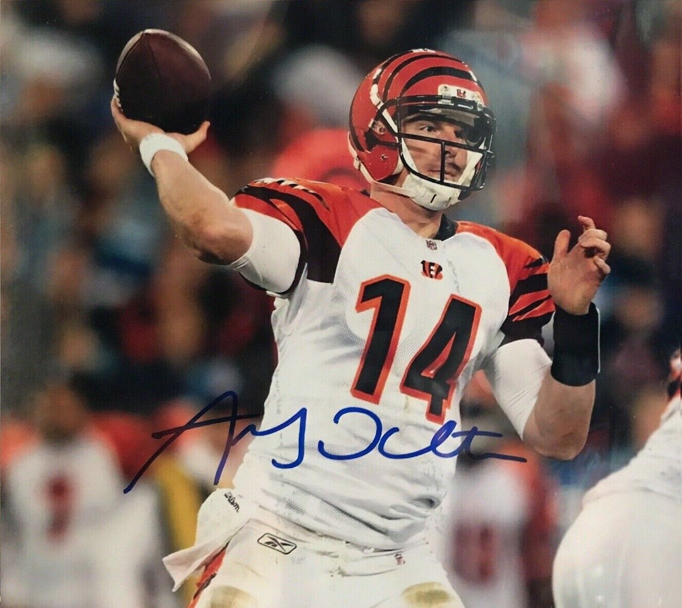 Andy Dalton Signed Autographed 8 x 10 Photo Poster painting ( Bengals ) REPRINT