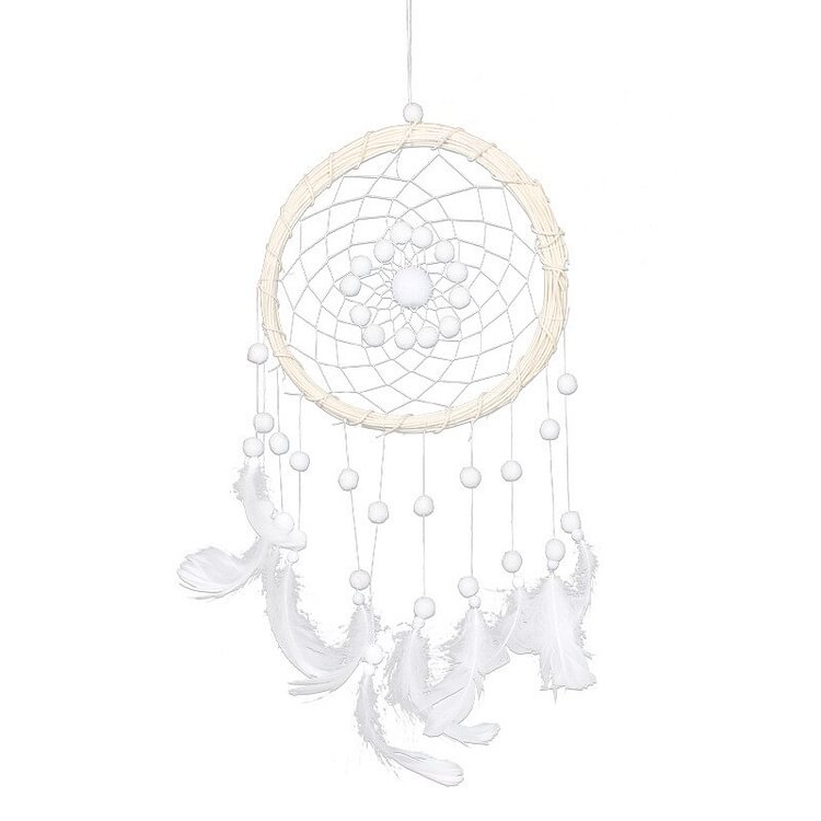 Dreamcatcher Indigenous