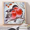 Bird 30*30CM(Canvas) Full Round Drill Diamond Painting