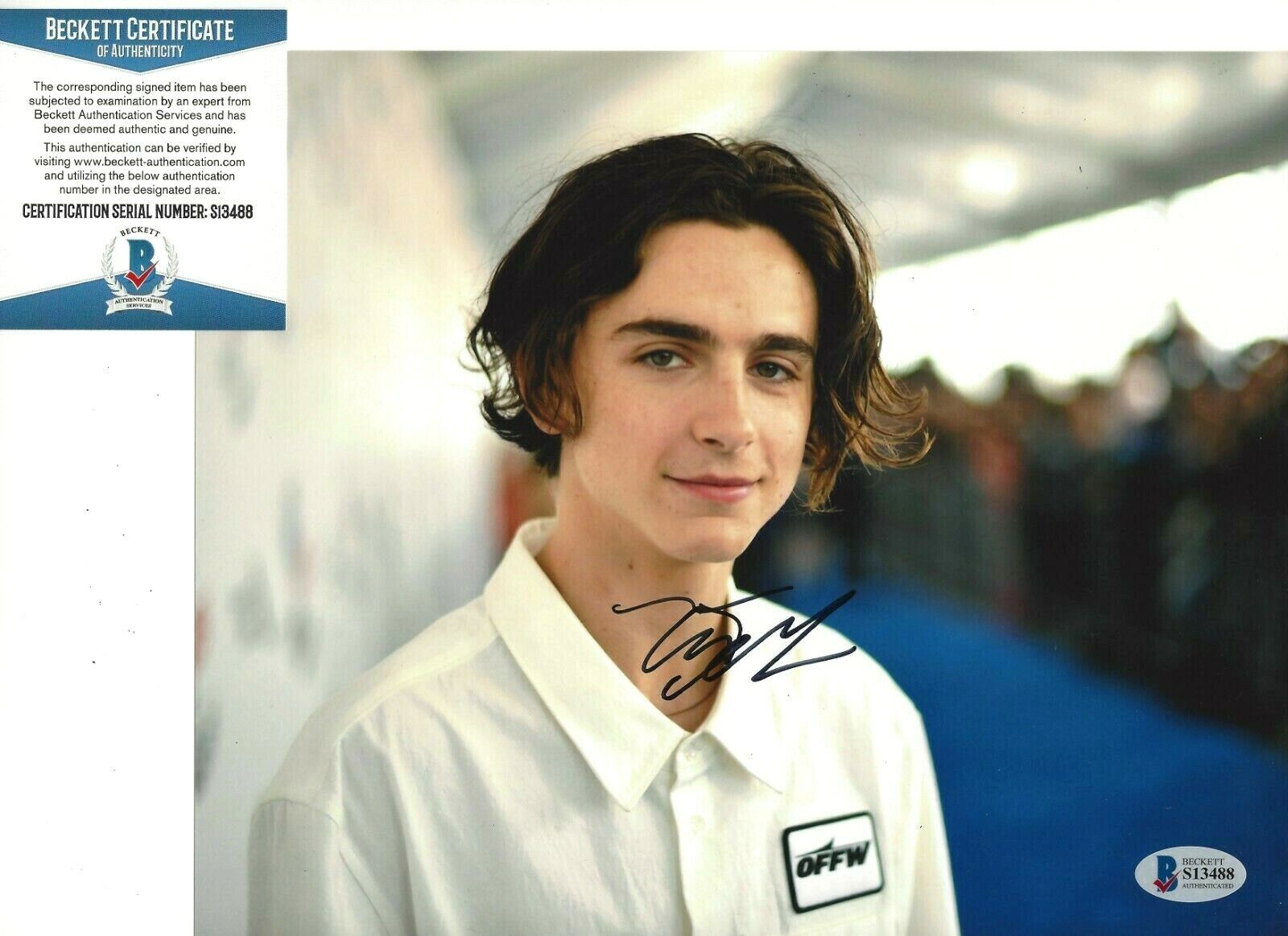 TIMOTHEE CHALAMET SIGNED 8x10 Photo Poster painting BECKETT COA LITTLE WOMEN MOVIE THE KING