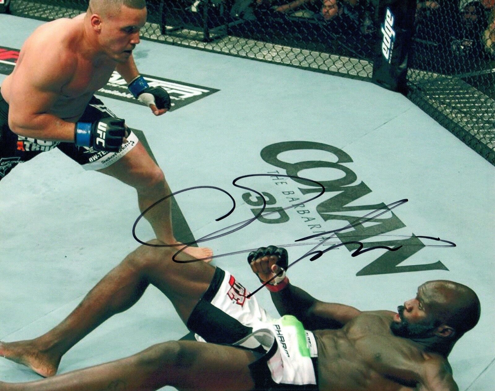 Cheick Kongo Signed Autograph 8x10 Photo Poster painting UFC MMA Bellator Fighter COA