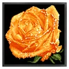 Rose - 9CT Full Beaded Cross Stitch Kit(37x36cm)