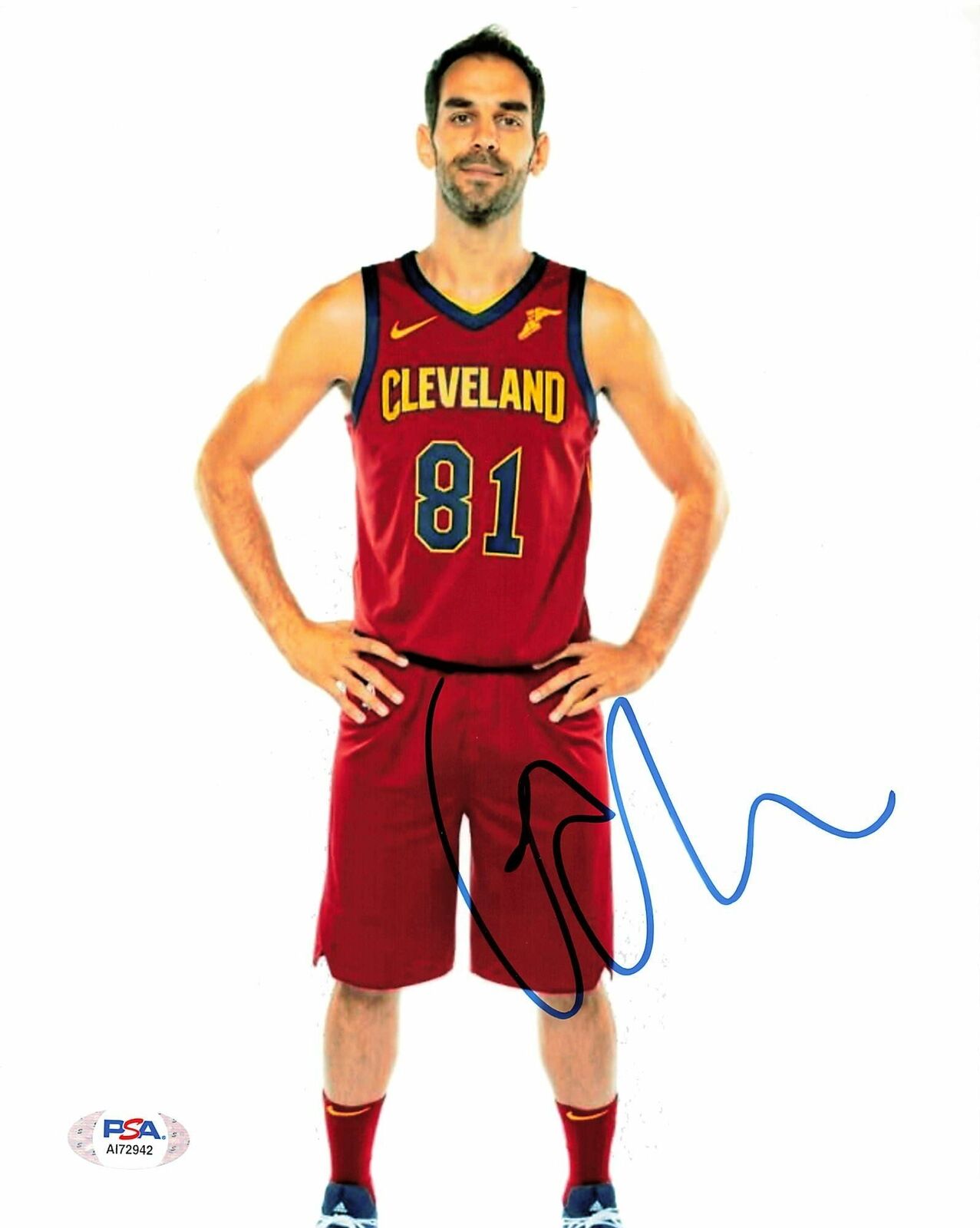 Jose Calderon signed 8x10 Photo Poster painting PSA/DNA Cleveland Cavaliers Autographed