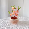 DIY Flower Potted Crochet Kit with Video Tutorial Cute Plants Hand-Knitted Tool