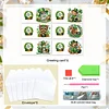6PCS Diamond Painting St. Patrick's Day Animal Greeting Cards Postcards with Envelopes