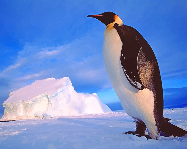 

Cute Penguin – Paint By Numbers - 40*50CM, 501 Original