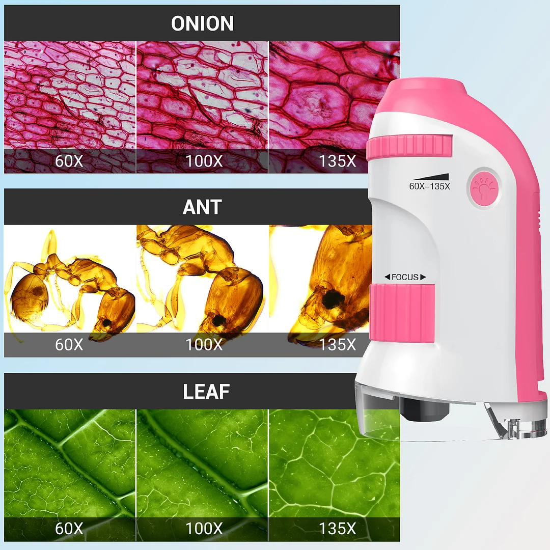 BEBANG Pocket Microscope for Kids, 60X-135X Handheld Portable Mini Microscope for for Microbiological Observation Lab Study