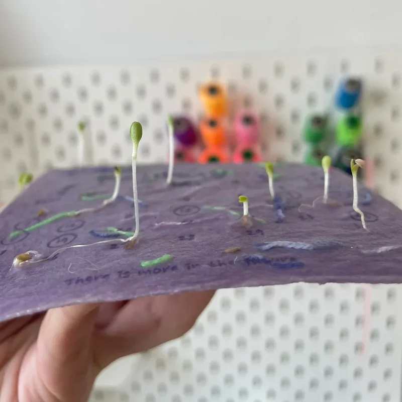 🌱2025 Eco-Friendly Plantable Seed Calendar🗓️