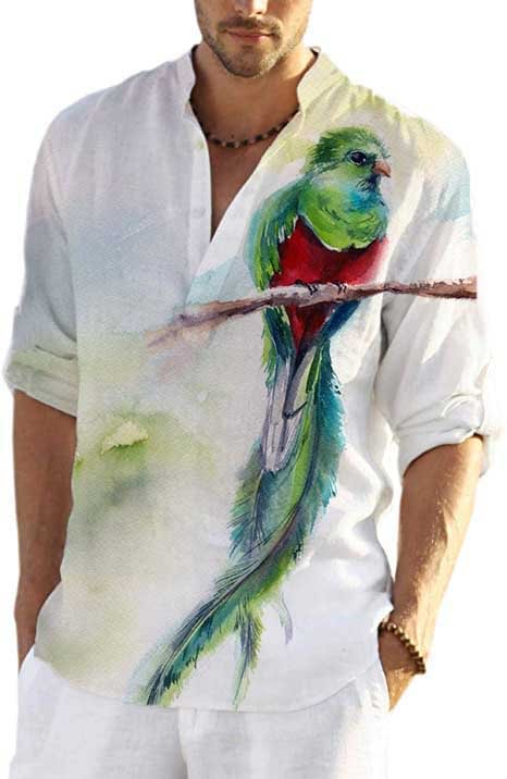 Pre-sale  Hummingbirds Print Men's Casual Shirt