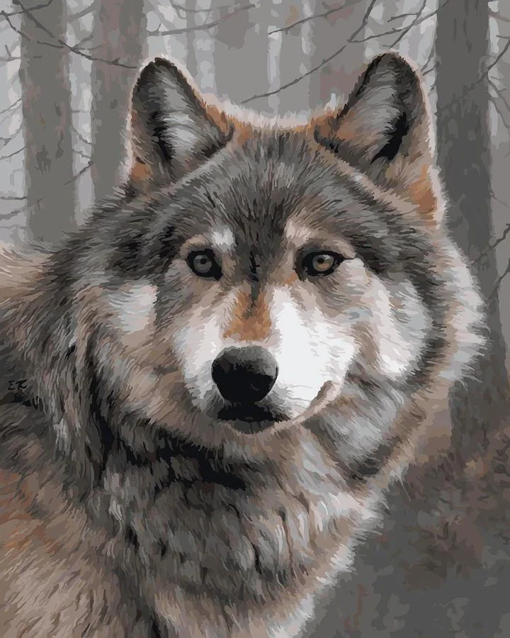Animal Wolf Paint By Numbers Kits UK For Adult OTG6207