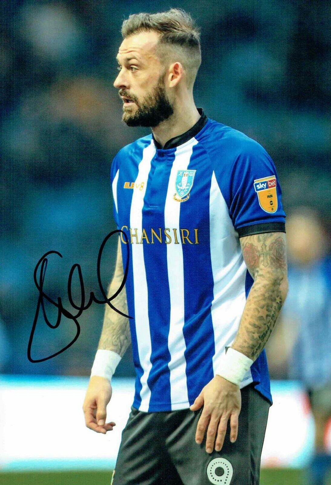 Steven FLETCHER Sheffield Wednesday SWFC SIGNED 12x8 2018/19 Photo Poster painting 1 AFTAL COA