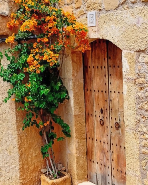 

Aesthetic Brown Door With Yellow Flowers – Paint By Numbers - 40*50CM, 501 Original
