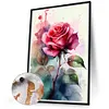 Watercolor Roses-Paint By Numbers Acrylic Painting 30*40CM(Watercolor)