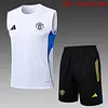 Joyfball 2025/2026 Manchester United Vest training White Jersey 1:1 Thai Quality