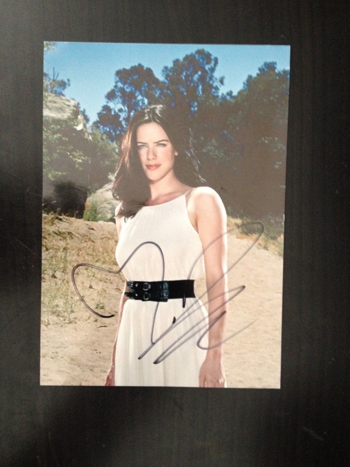 MICHELLE RYAN - BIONIC WOMAN / DR WHO ACTRESS - SUPERB SIGNED Photo Poster paintingGRAPH