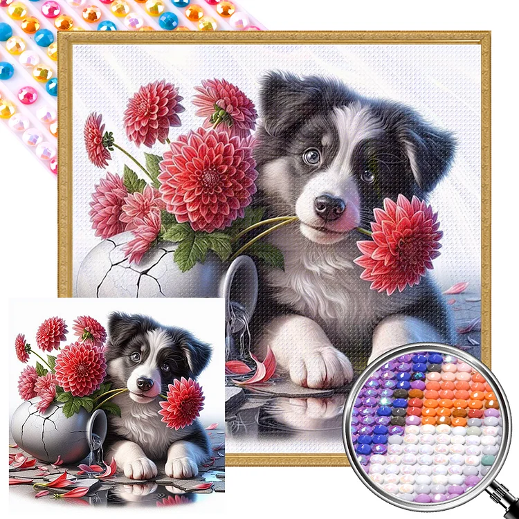 Flowers And Puppy Border Collie 40*40CM (Canvas) Full AB Round Drill Diamond Painting gbfke