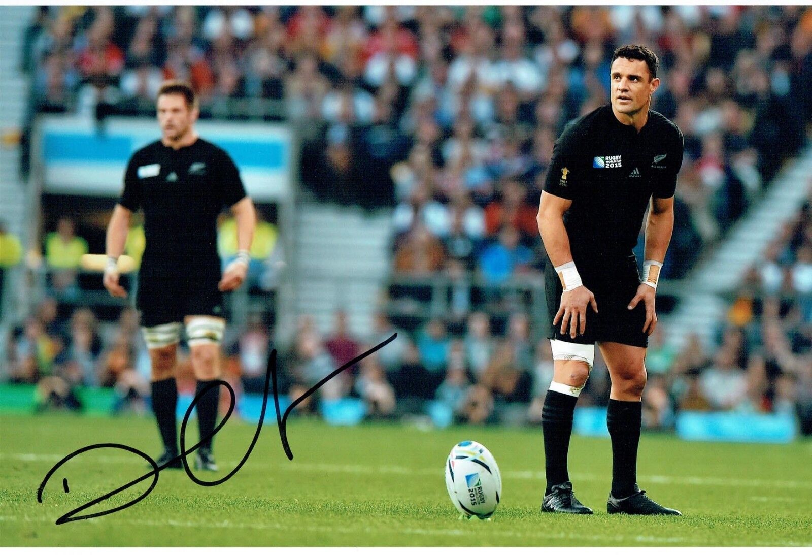 Dan CARTER Signed Autograph 12x8 Photo Poster painting B AFTAL COA RUGBY All Blacks New Zealand