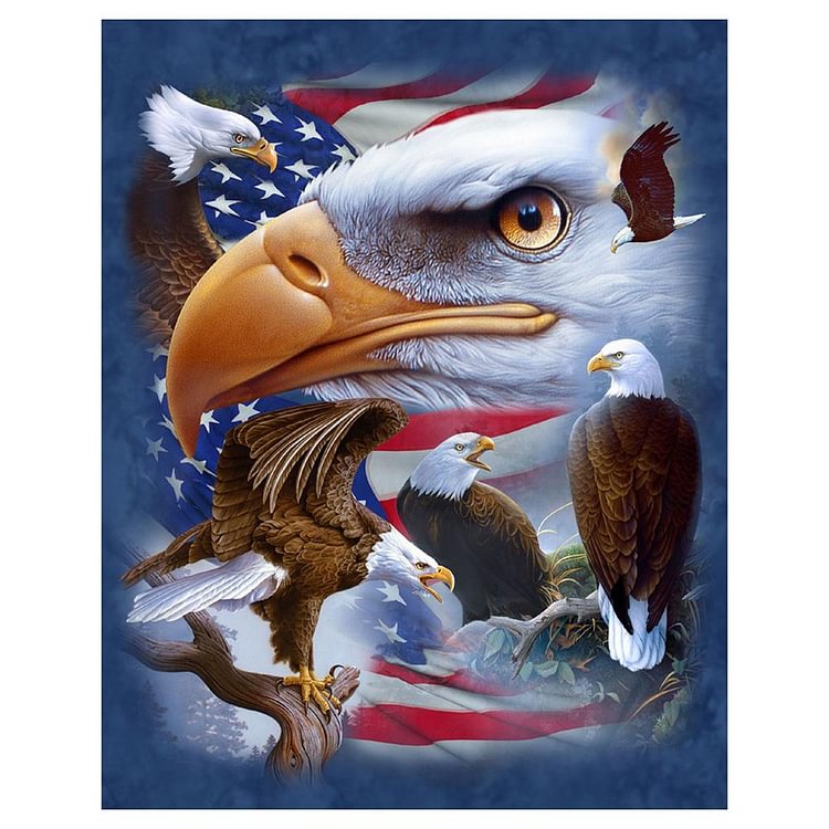 Eagle  Full Round Diamond Painting 30x25cm
