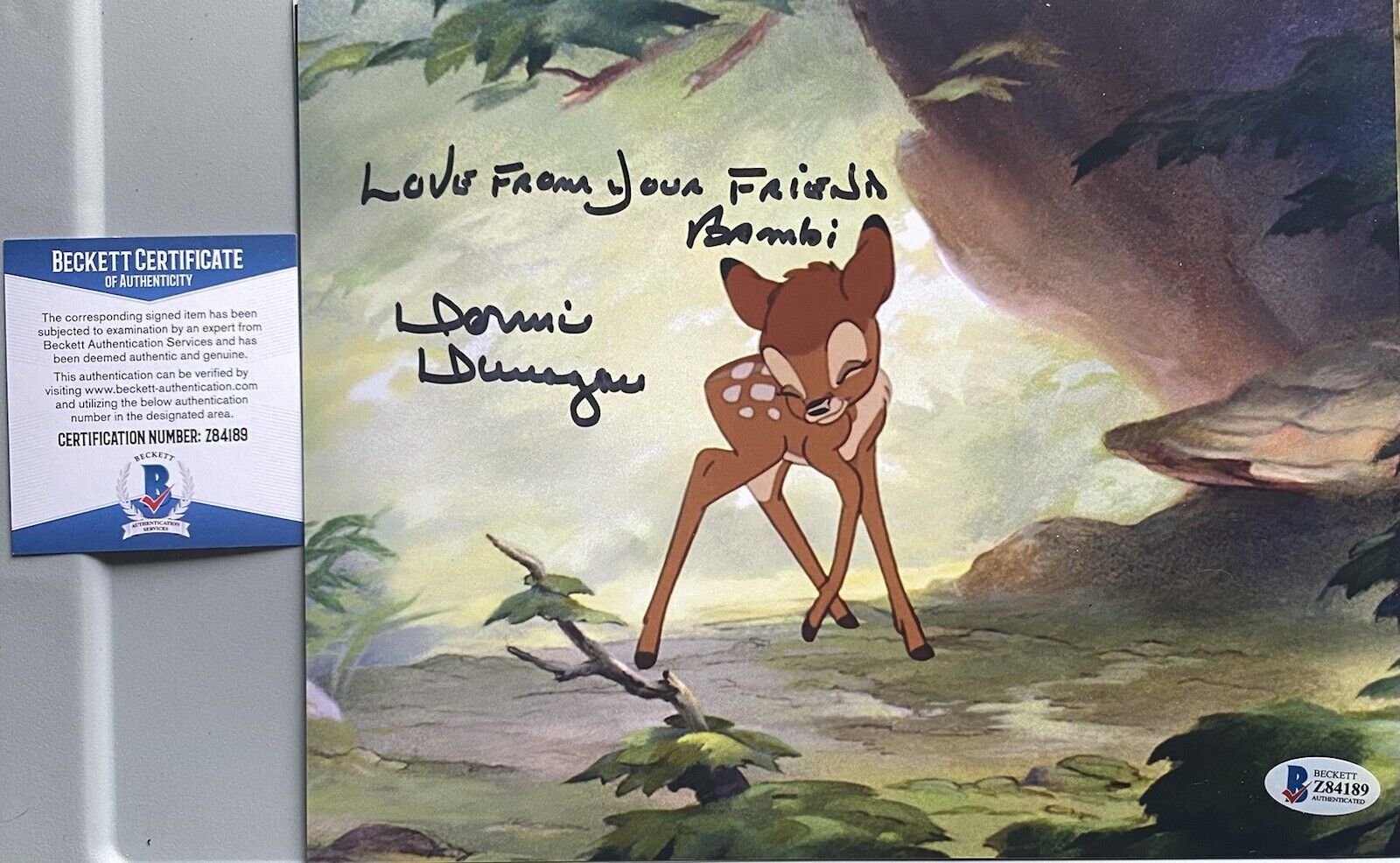 Bambi , Donnie Dunagan Signed Autographed 8x10 Photo Poster painting Beckett Authenticated