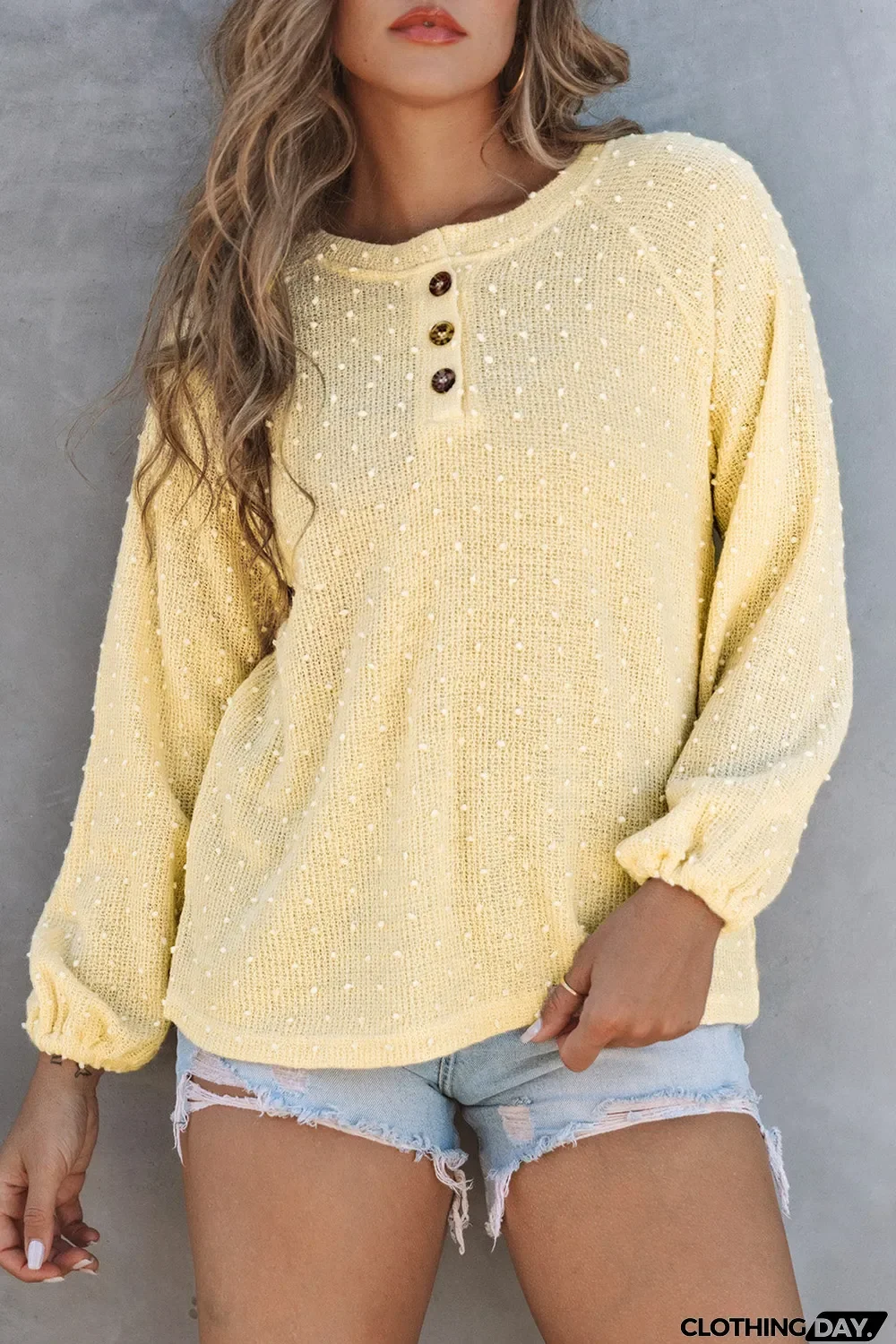 Swiss Dot Raglan Sleeves Knit Top