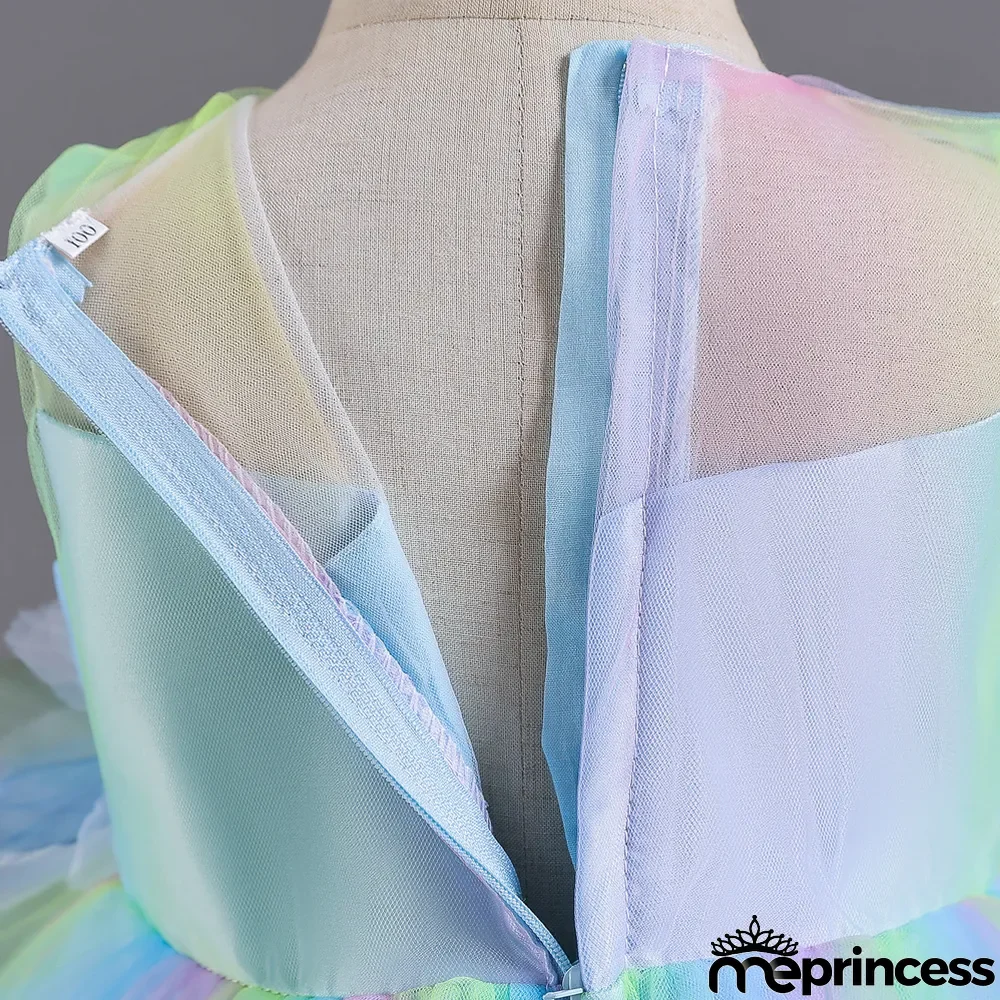 Infant and Toddler Dresses Floral Dress Multi-Color Mesh Pouf Princess Dress