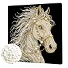 DIY Pearl Painting Horse for Home Wall Decor with Frame(30x30cm)