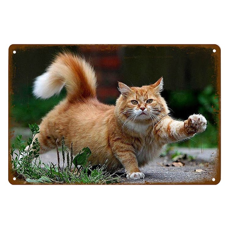Lawn Cat - Vintage Tin Signs/Wooden Signs - 7.9x11.8in & 11.8x15.7in