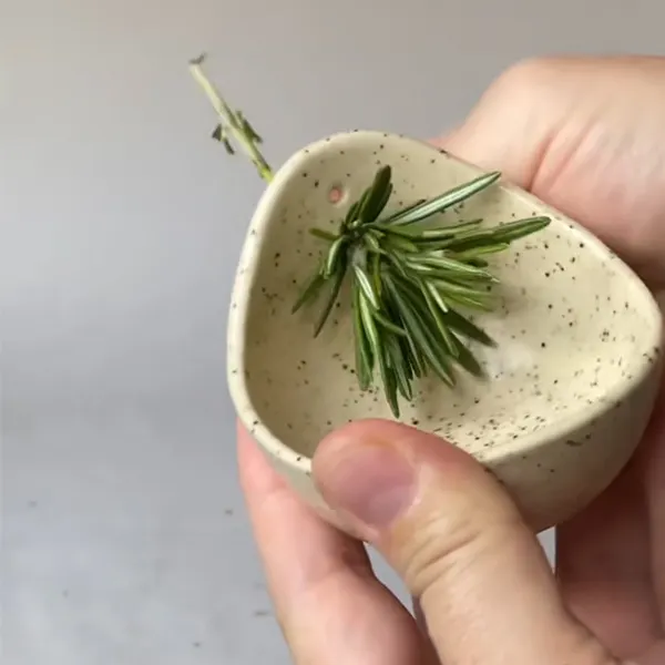 Pottery Herb Stripper(𝐉𝐨𝐧 𝐇𝐚𝐦𝐛𝐥𝐢𝐧 𝐇𝐚𝐧𝐝𝐦𝐚𝐝𝐞&reg;) - BUY 3 GET 20% OFF&FREE SHIPPING