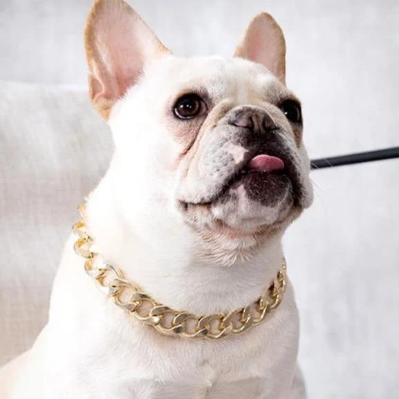 Pet Dog tainless Steel Puppy Collars Gold Chain-VESSFUL