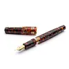 New Leonardo Momento Magico "Millefiori" (Thousand Flowers) Piston-Filler Fountain Pen