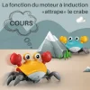 🦀🦀Jouet de Crabe qui est en Fuite