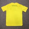2024/2025 Nantes Home Football Shirt 1:1 Thai Quality