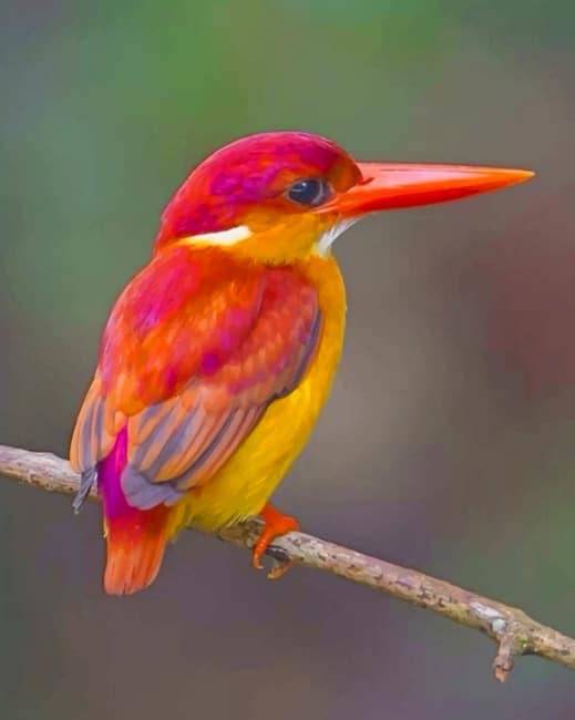

Rufous Backed Kingfisher Bird – Paint By Numbers - 40*50CM, 501 Original