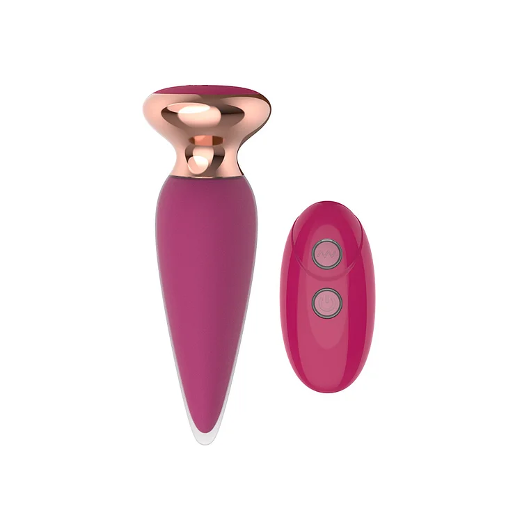 Anal plug remote-controlled prostate massager
