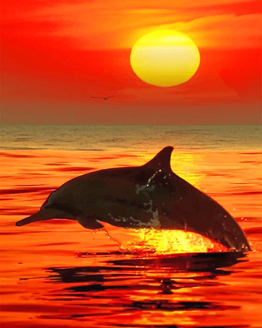 

Lonely Dolphin Sunset – Paint By Numbers - 40*50CM, 501 Original