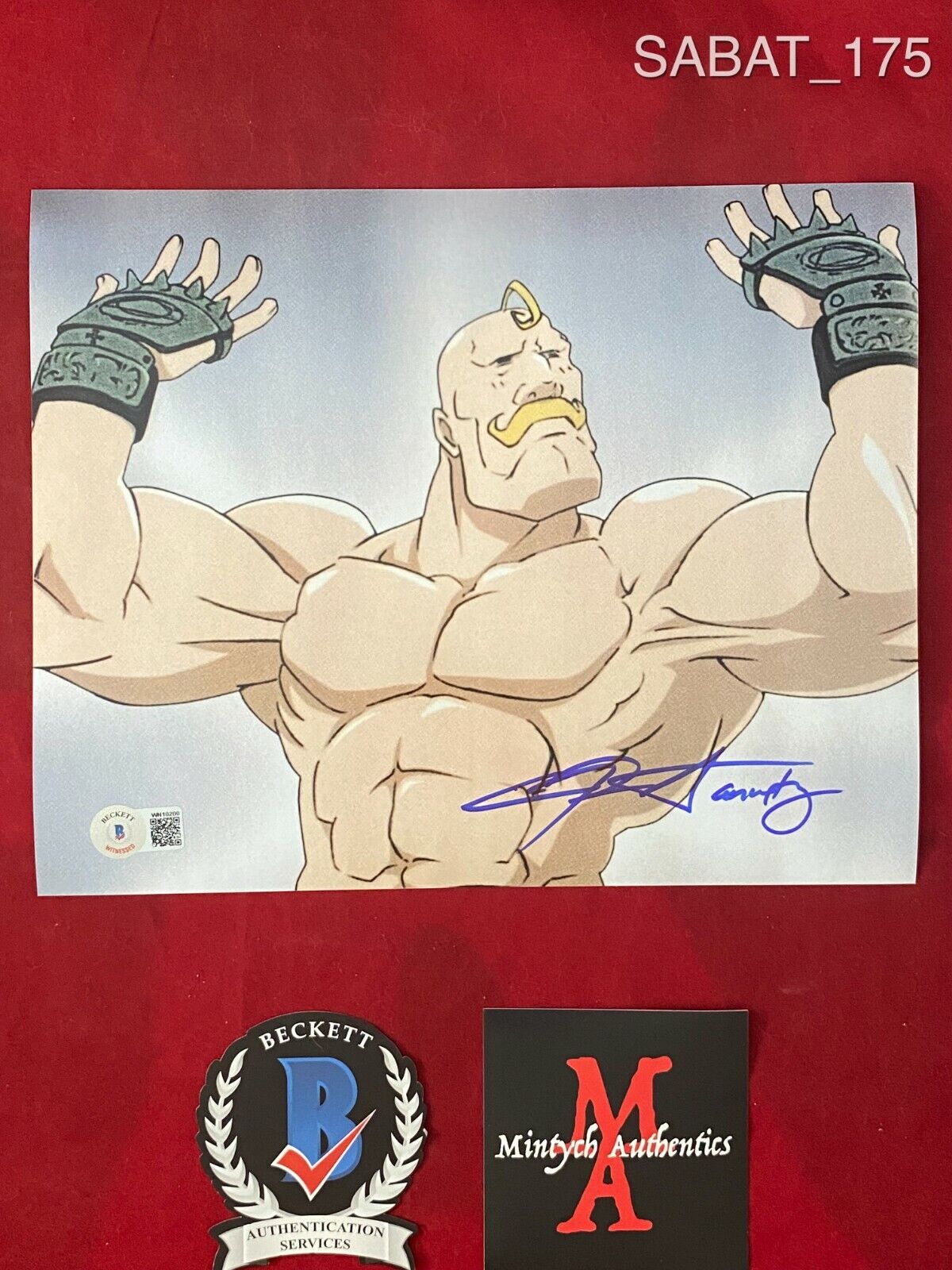 CHRISTOPHER SABAT SIGNED 8x10 Photo Poster painting! FULLMETAL ALCHEMIST! ANIME! BECKETT COA!