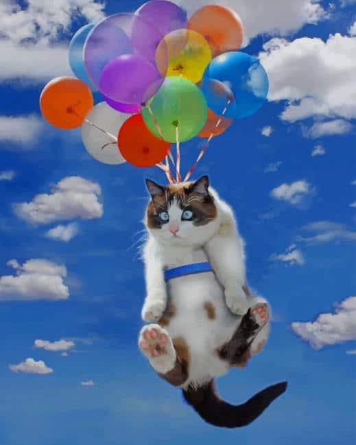 

Flying Cat – Paint By Numbers - 40*50CM, 501 Original