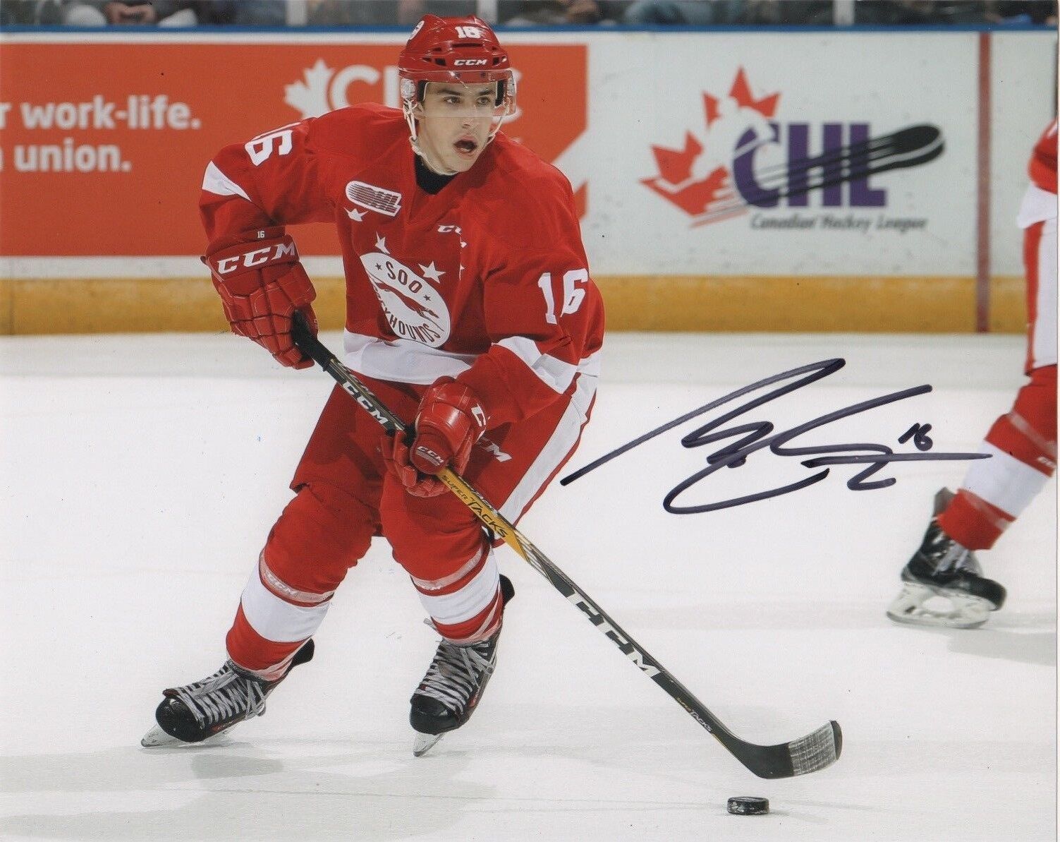 Sault Ste. Marie Greyhounds Morgan Frost Autographed Signed 8x10 Photo Poster painting COA A