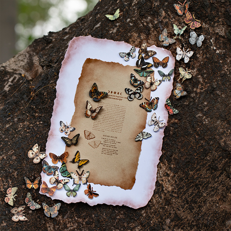 스티커 - 빈티지 나비