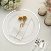 10 Pack | 12" Silver Rim Clear Heavy Duty Plastic Serving Trays, Disposable Charger Plates Tableware