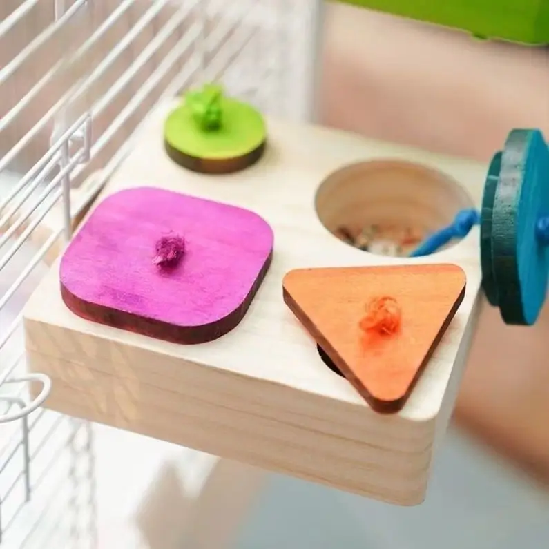 Parrot Multicolored Foraging Feeding Box  Birdcagelab