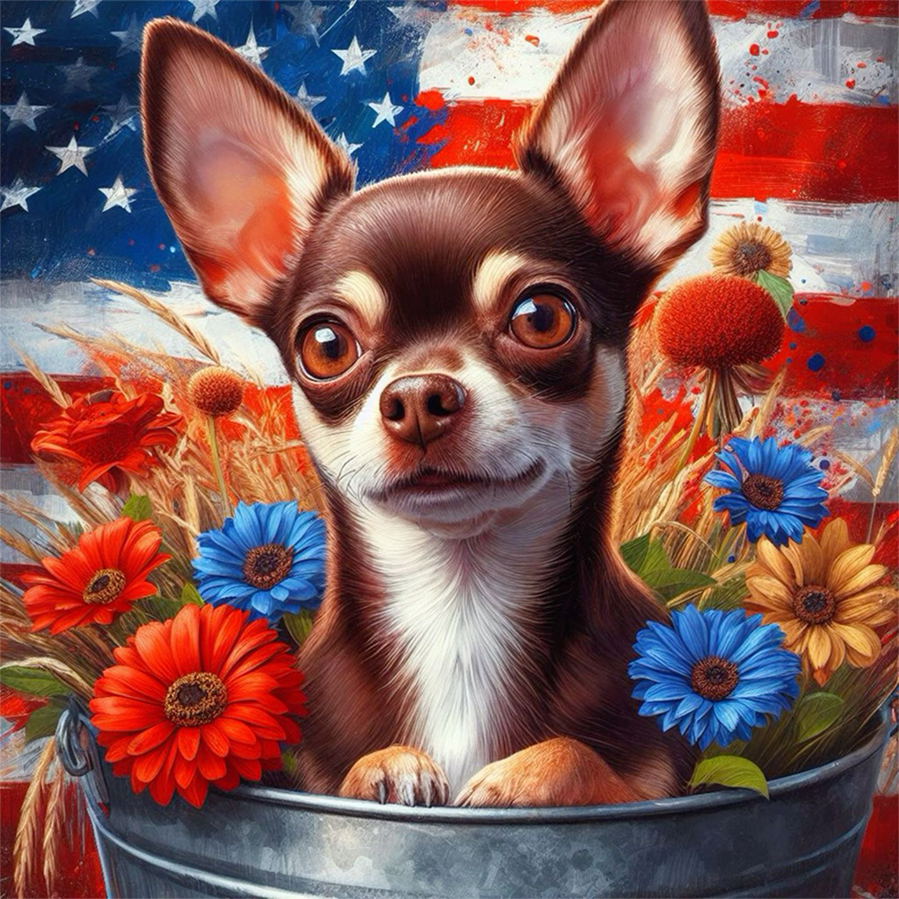 Chihuahua Under The Flag 20*20cm paint by numbers kit