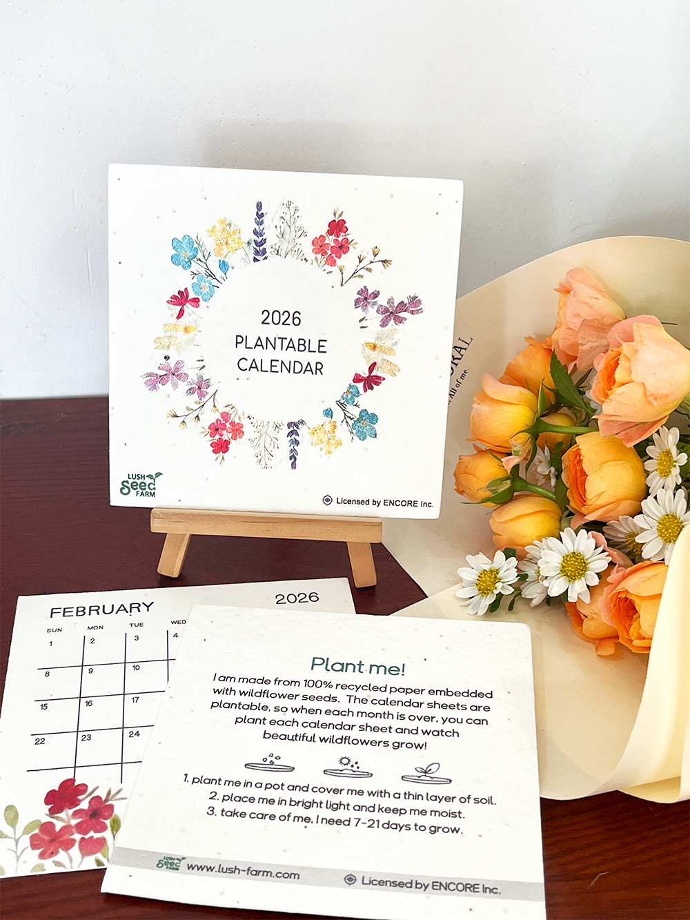 ✨Black Friday Sale 70% OFF⏰ - 🌱Plantable Desk Calendar 2026 - Gift idea🎁