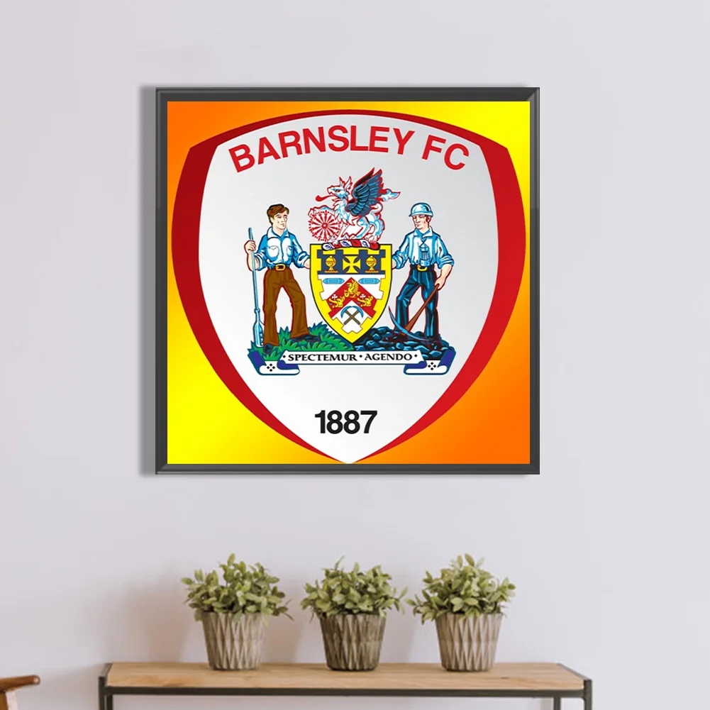 Partial AB Diamond Painting - Full Round Drill - Barnsley F.C.(Canvas|55*55cm)