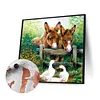 uk.everydayedeals (Limited Stock)Paint By Number - Oil Painting -  Duck (40*40Cm)