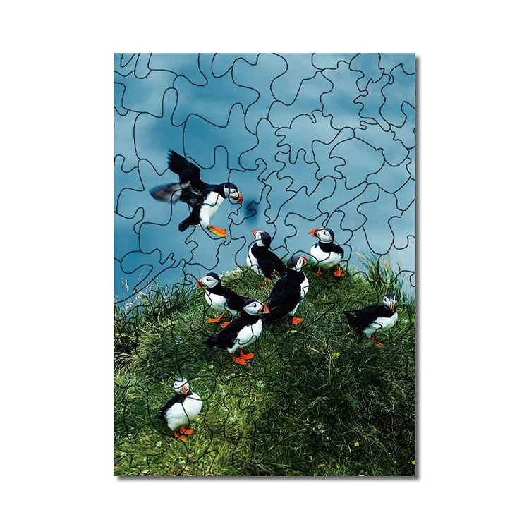 Ericpuzzle™ Ericpuzzle™The flying duck Puzzle