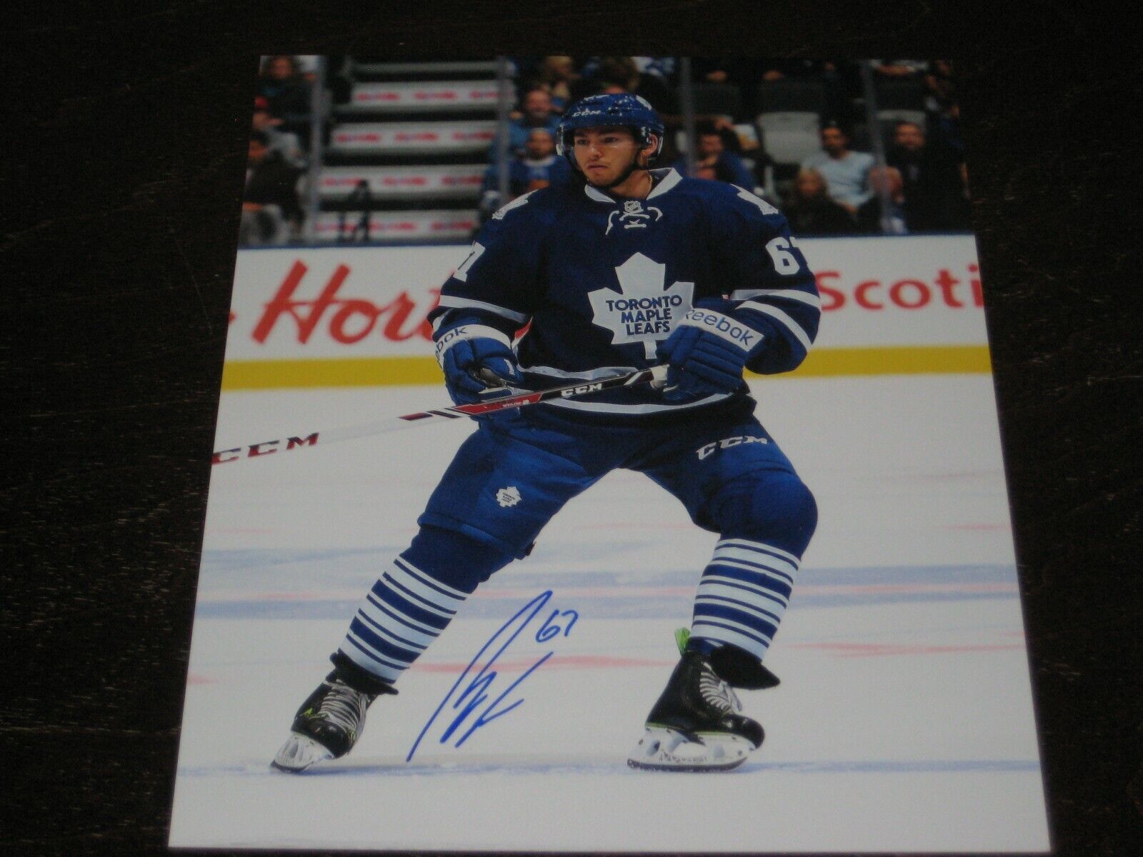 BRANDON KOZUN autographed TORONTO MAPLE LEAFS 8X10 Photo Poster painting