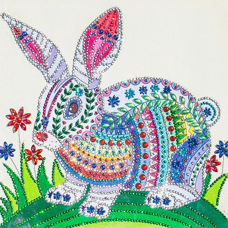 Rabbit - Partial Special Shaped Drill Diamond Painting - 30x30cm(Canvas)