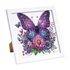 5D DIY Partial Special Shaped Drill Diamond Painting Kit Butterfly Decor With Frame Kit 18x18cm