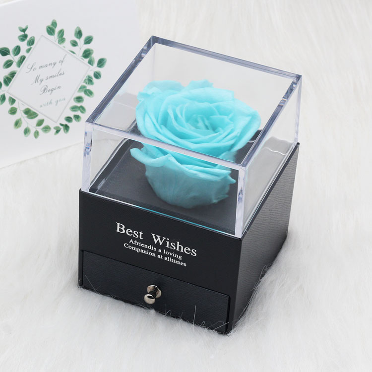 Tegooe DuHouse Forever Roses Preserved Real Flowers in Glass Dome Eternal Flower Gift for Her Valentines Day Anniversary B...